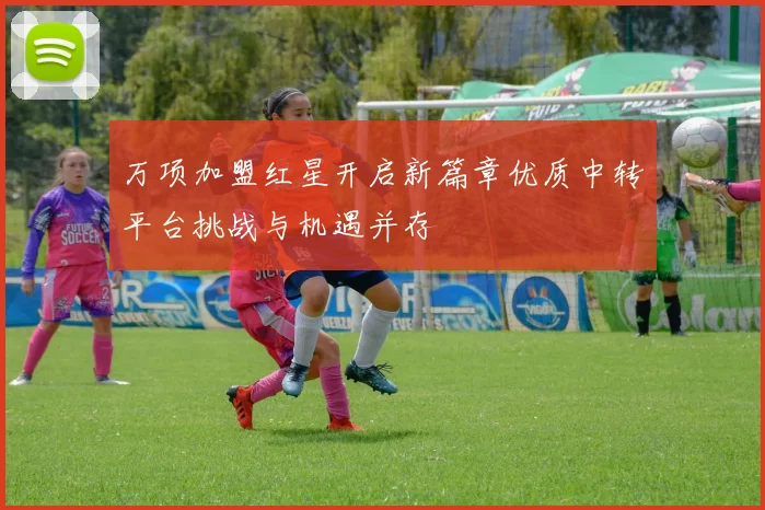 万项加盟红星开启新篇章优质中转平台挑战与机遇并存