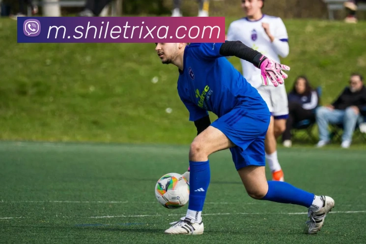 时乐体育发展历程